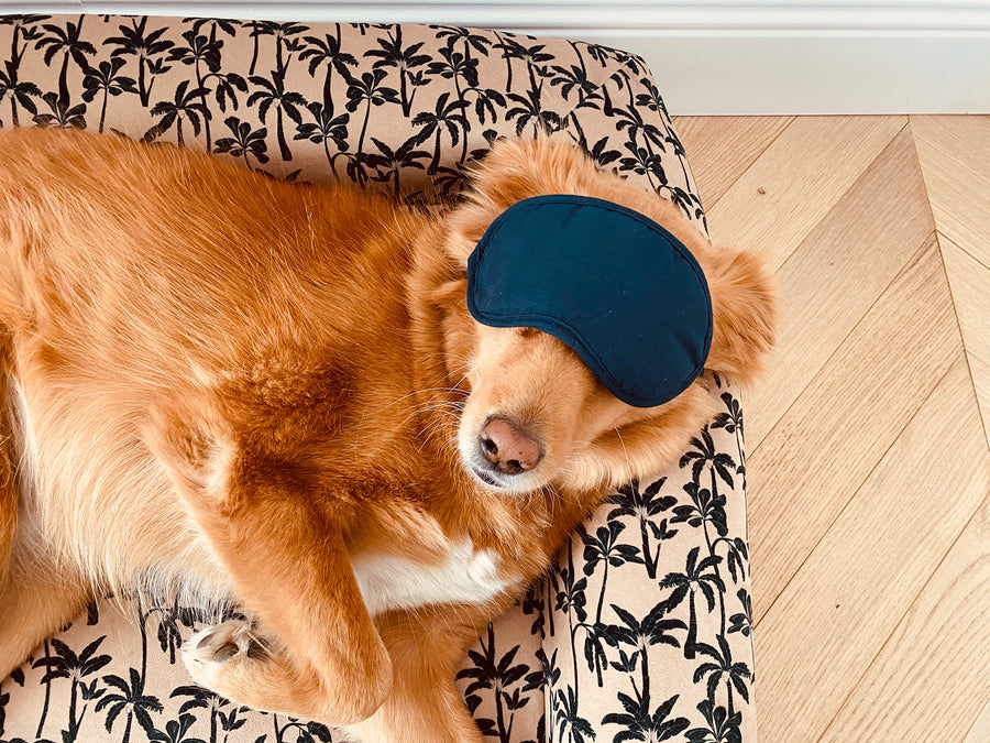 Pouf chien en mousse Palm'Beach