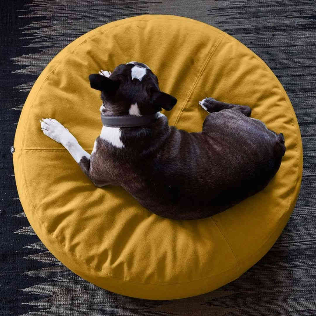 Pouf design pour chien – Luna