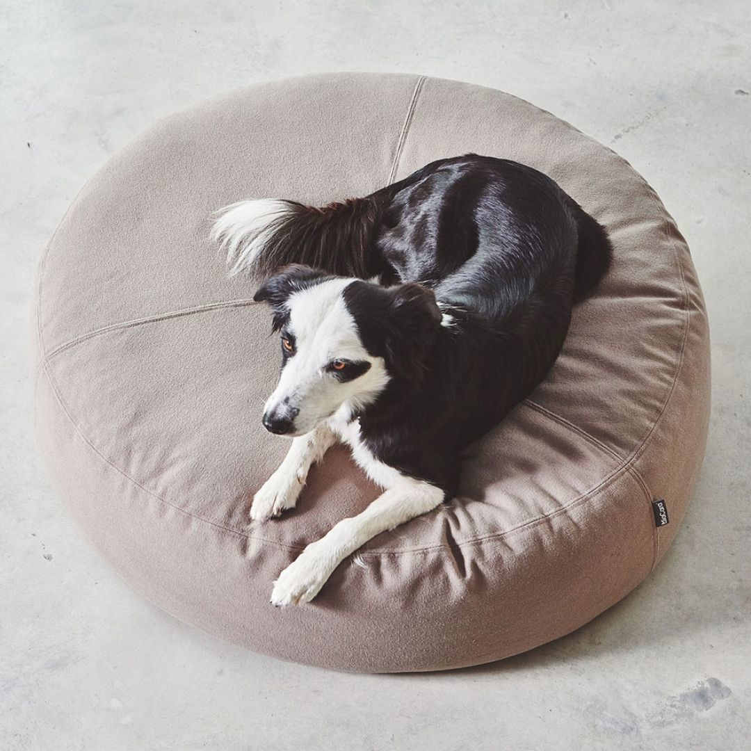 Pouf design pour chien – Luna