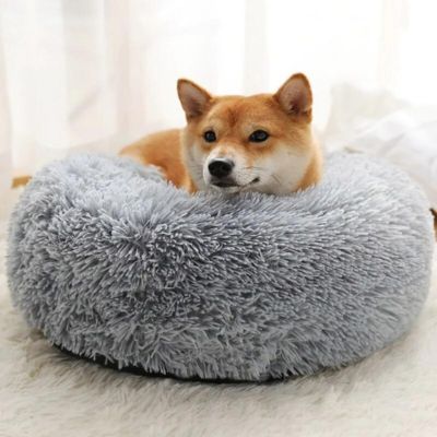 Pouf pour chien en velours