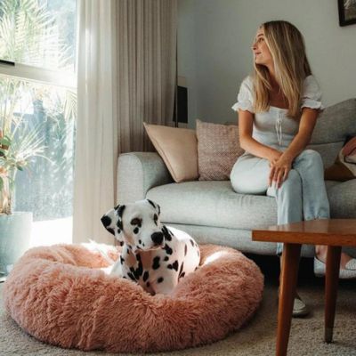 Pouf pour chien en velours